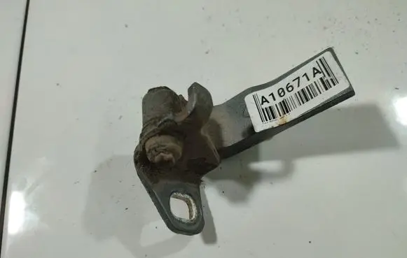 Rear door lower hinge