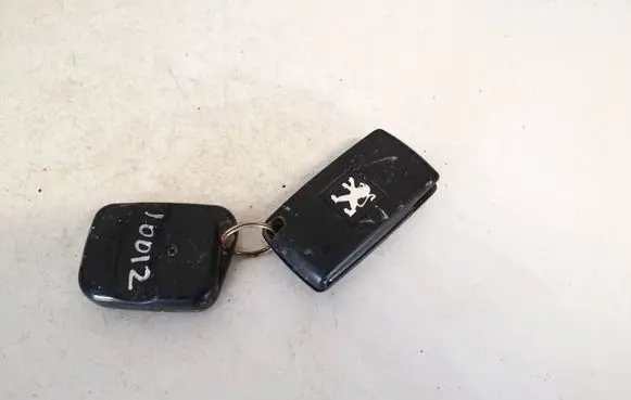 Peugeot 207 Ignition key/card 