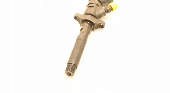 Citroen C4 I Fuel injector 0445110259