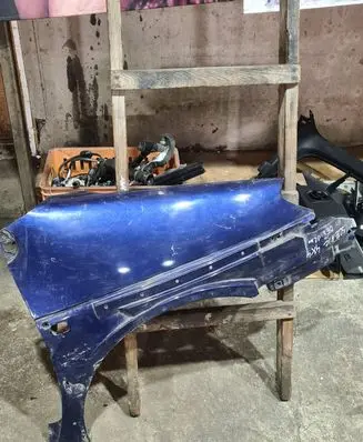 Renault Scenic RX Fender