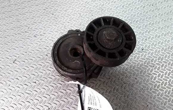Peugeot 406 Generator/alternator belt tensioner