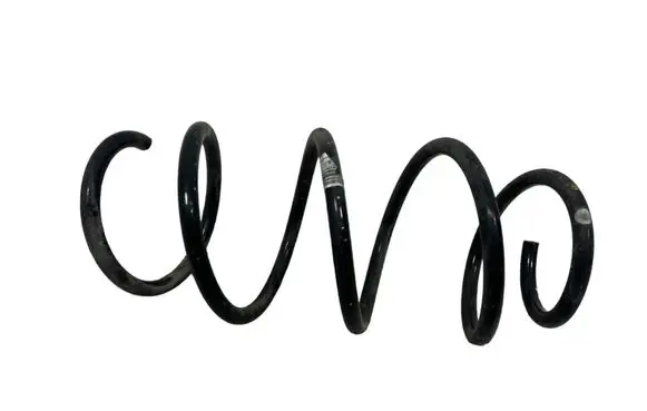 Front coil spring