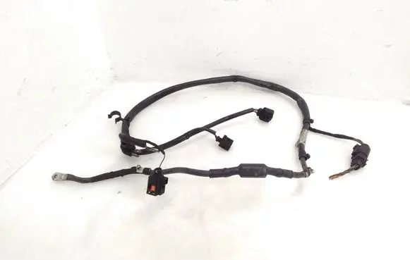 Seat Alhambra (Mk2) Wires (generator/alternator) 5N0971349BA