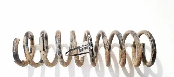 Ford Focus Rear coil spring