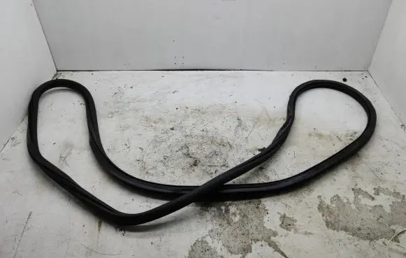 Volkswagen Golf Sportsvan Rear door rubber seal (on body) 