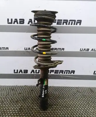 Nissan Qashqai Front shock absorber with coil spring 543024EA3A