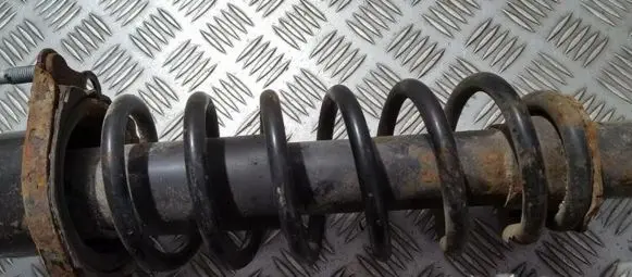 Rear coil spring