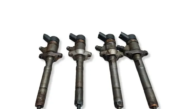 Citroen Berlingo Fuel injector S27649820 0445110239