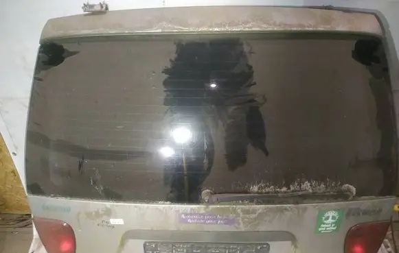 Tailgate/trunk/boot lid