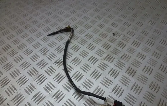Jeep Compass Exhaust gas temperature sensor 50056015