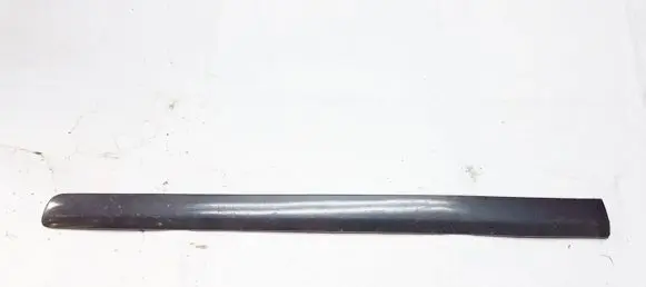 Front door trim (molding)