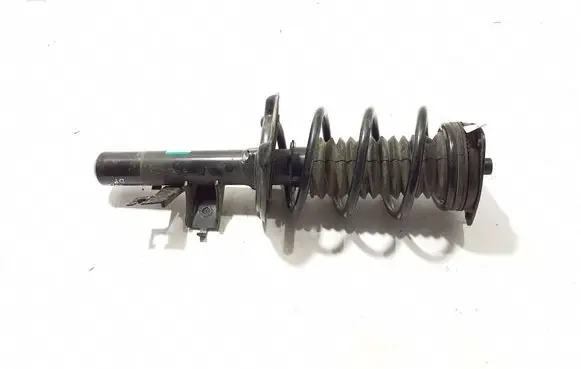 Renault Scenic E-Tech V Rear shock absorber/damper 543020830R
