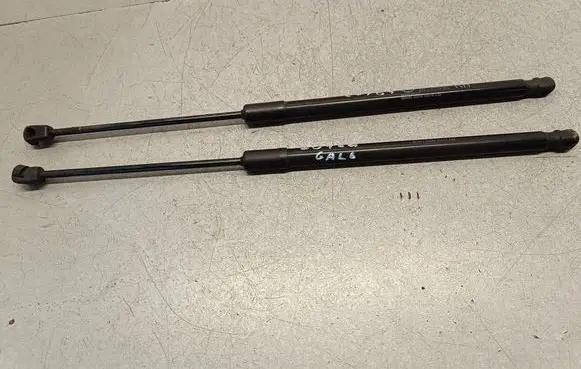 Tailgate/trunk strut/damper