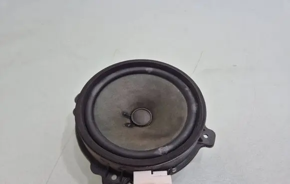 Opel Antara Front door speaker 25907870