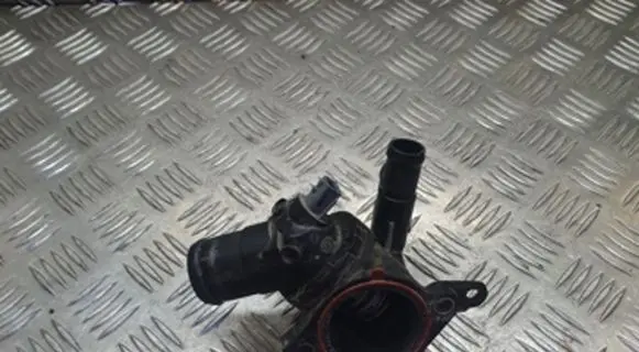 Thermostat/thermostat housing