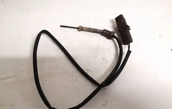Interior temperature sensor