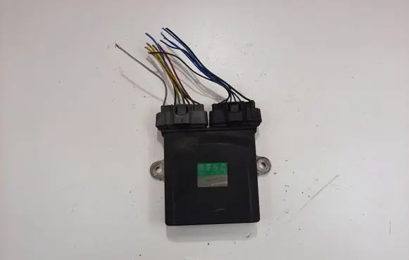 Mazda 6 Fuel injection control unit/module 1310001241