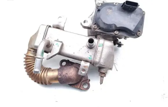 Renault Trafic III (X82) EGR valve 8201068965 147102408R VN1501000481