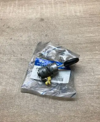 Hyundai Santa Fe Front door lock 819404AA00