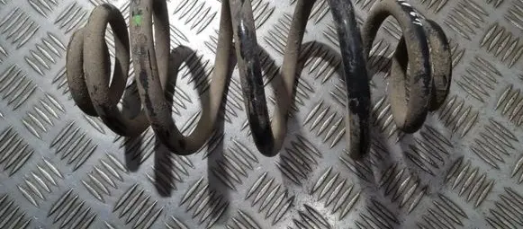 Volkswagen PASSAT B5.5 Rear coil spring