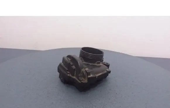 Throttle body valve