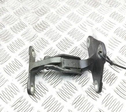 BMW X5 E70 Rear door lower hinge 7170918