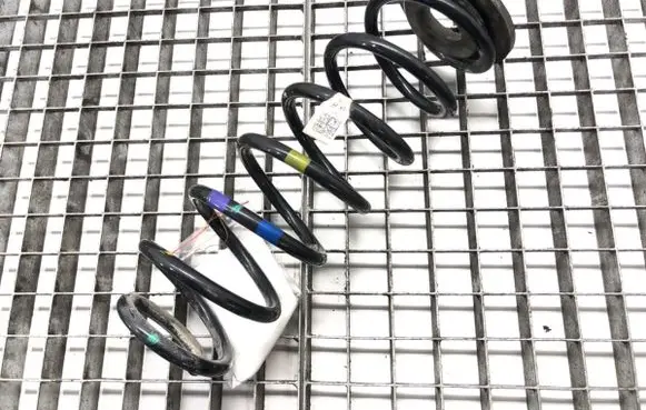 Rear coil spring