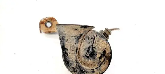 Volkswagen PASSAT B6 Horn signal E1000209