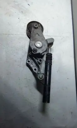 Volkswagen Golf IV Timing belt/chain tensioner 038903315