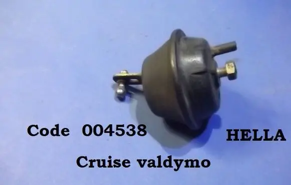 Vacuum valve