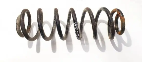 Volkswagen PASSAT B6 Rear coil spring