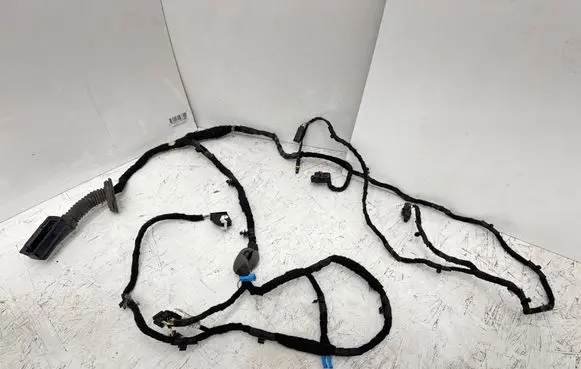 BMW 4 G22 G23 G24 G26 Front door wiring loom 11107810