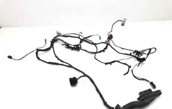 BMW X6 E71 Front door wiring loom 7209881