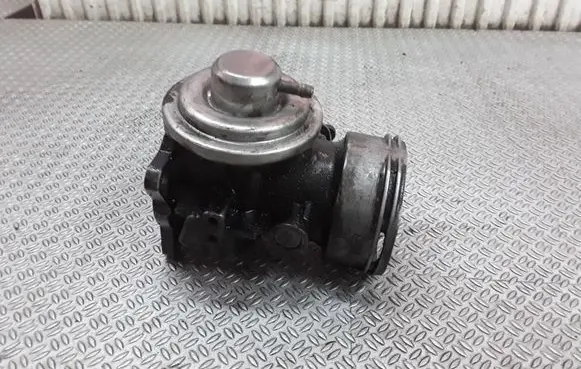 EGR valve