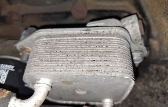 Mazda 6 Engine oil radiator 