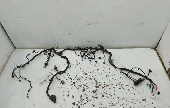 Chery Omoda 5/C5 Wires (generator/alternator) 806006407AAJLK01