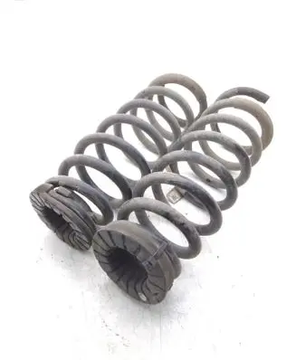 Rear coil spring