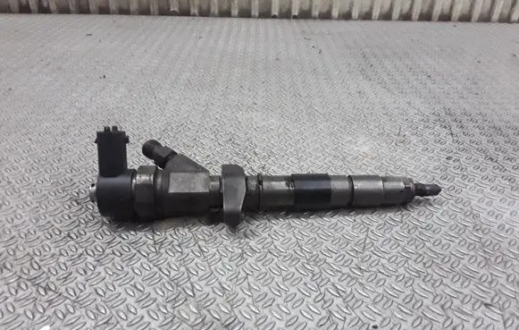 Renault Espace - Grand espace IV Fuel injector 0445110084