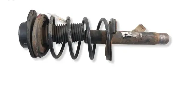 Peugeot 206 Front shock absorber with coil spring 