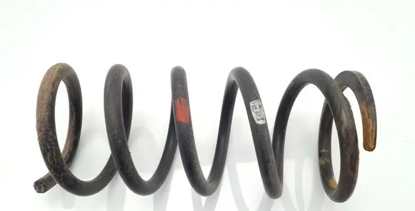 Rear coil spring
