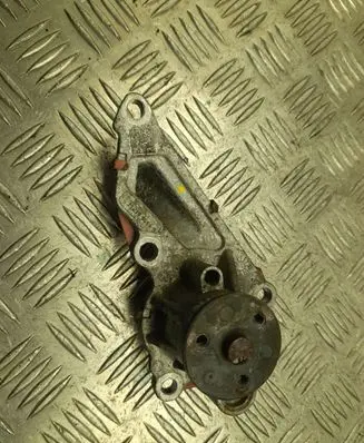 Nissan Juke II F16 Water pump 210109484R