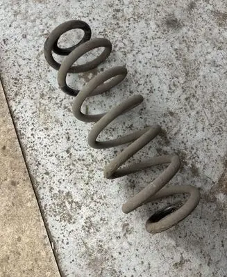 Rear coil spring