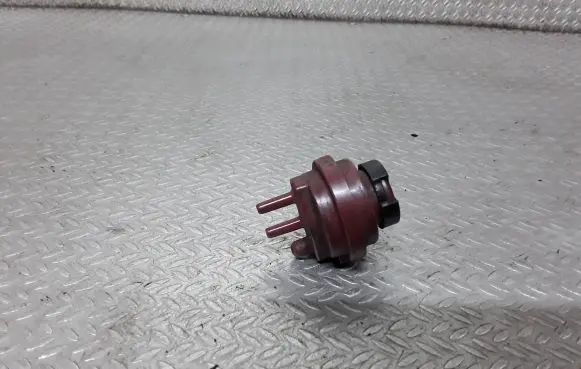 Vacuum valve
