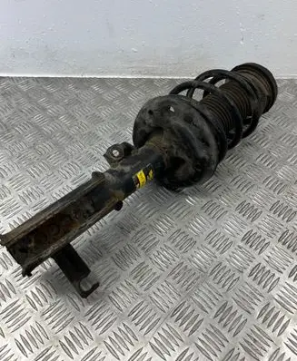 Opel Insignia A Front shock absorber/damper NA00