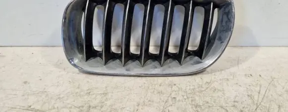 BMW X3 E83 Front grill 51133402909
