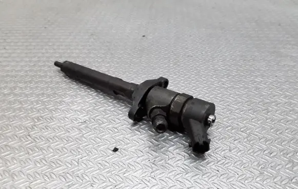 Citroen C5 Fuel injector 0445110188