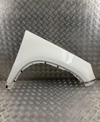 Volkswagen Tiguan Fender
