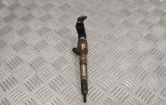Nissan Qashqai Fuel injector H8200704191