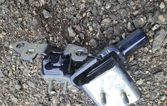 Renault Zoe Rear door hinge set 11716R