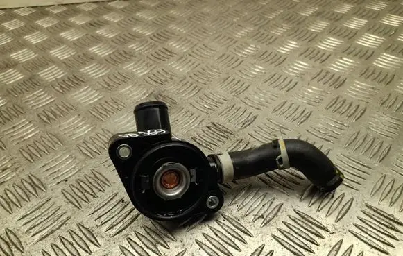 Thermostat/thermostat housing